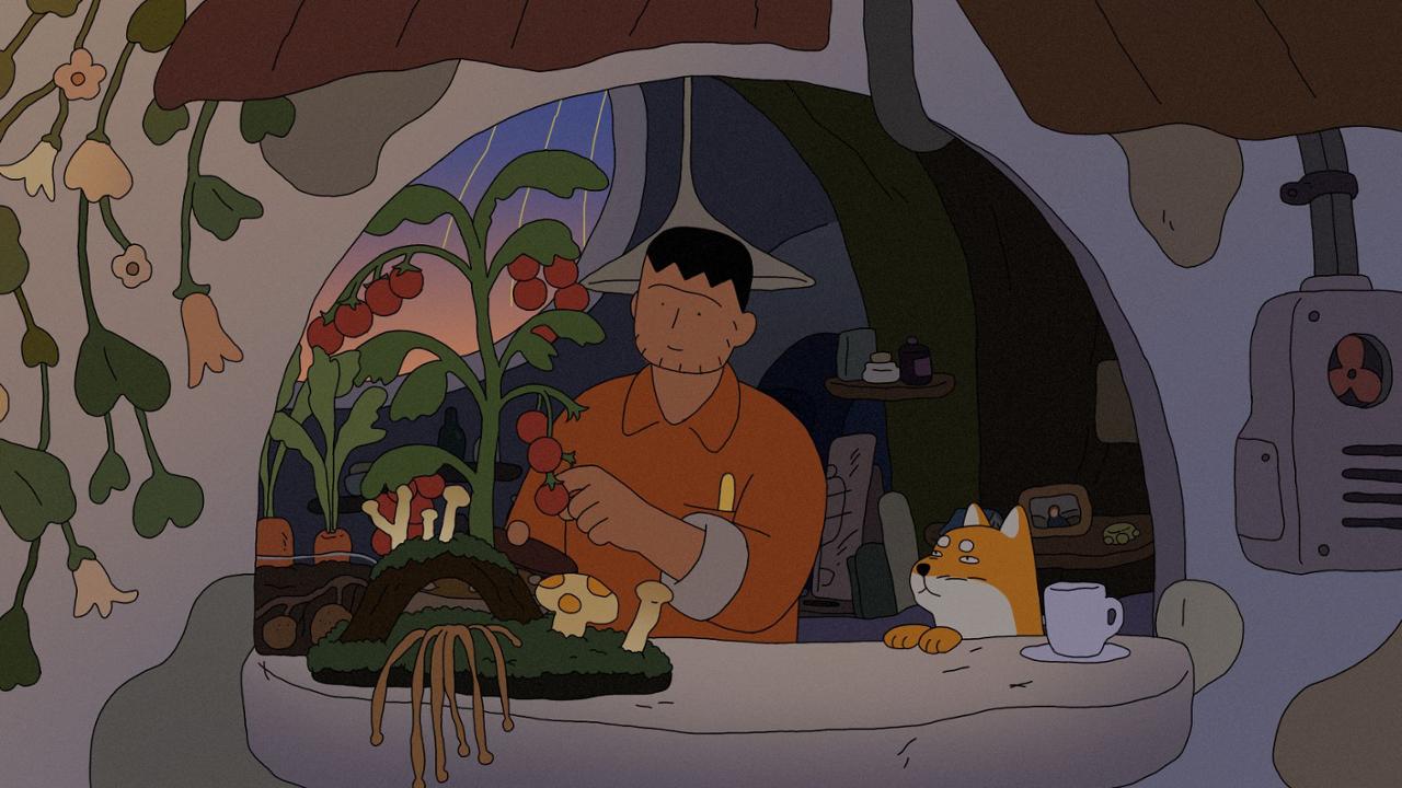 A Small Garden by the Window