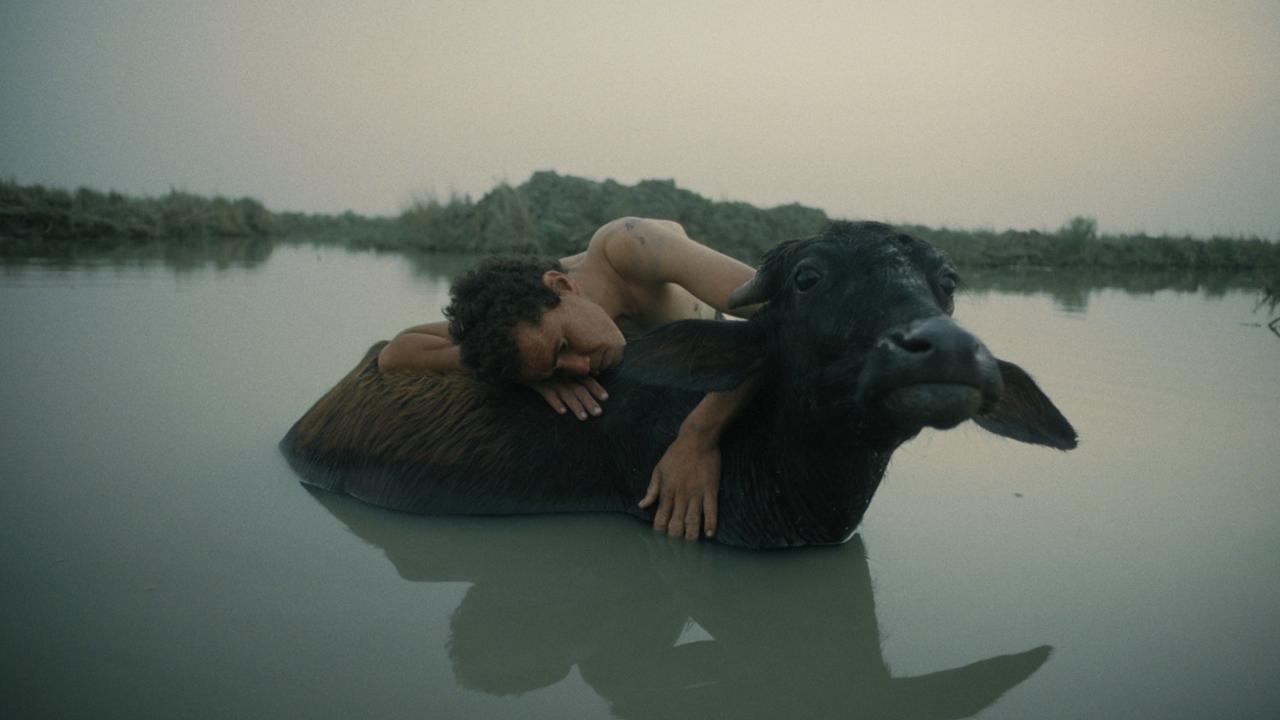 Desítka snímků v soutěži LABO se odvážně vydává mimo vyšlapané cesty filmového vyjadřování