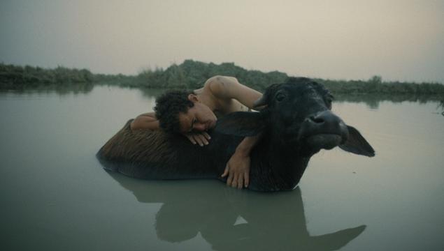 Desítka snímků v soutěži LABO se odvážně vydává mimo vyšlapané cesty filmového vyjadřování